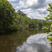 Swift Creek in Pocahontas SP by timerskine