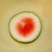Watermelon by louannwarren