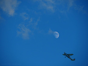29th Jul 2020 - fly me to the moon