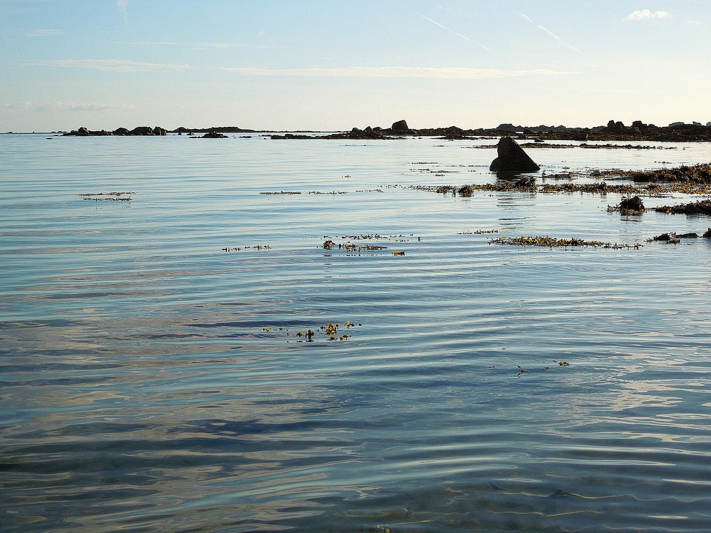 Morning walk on the beach (1) : the water by etienne