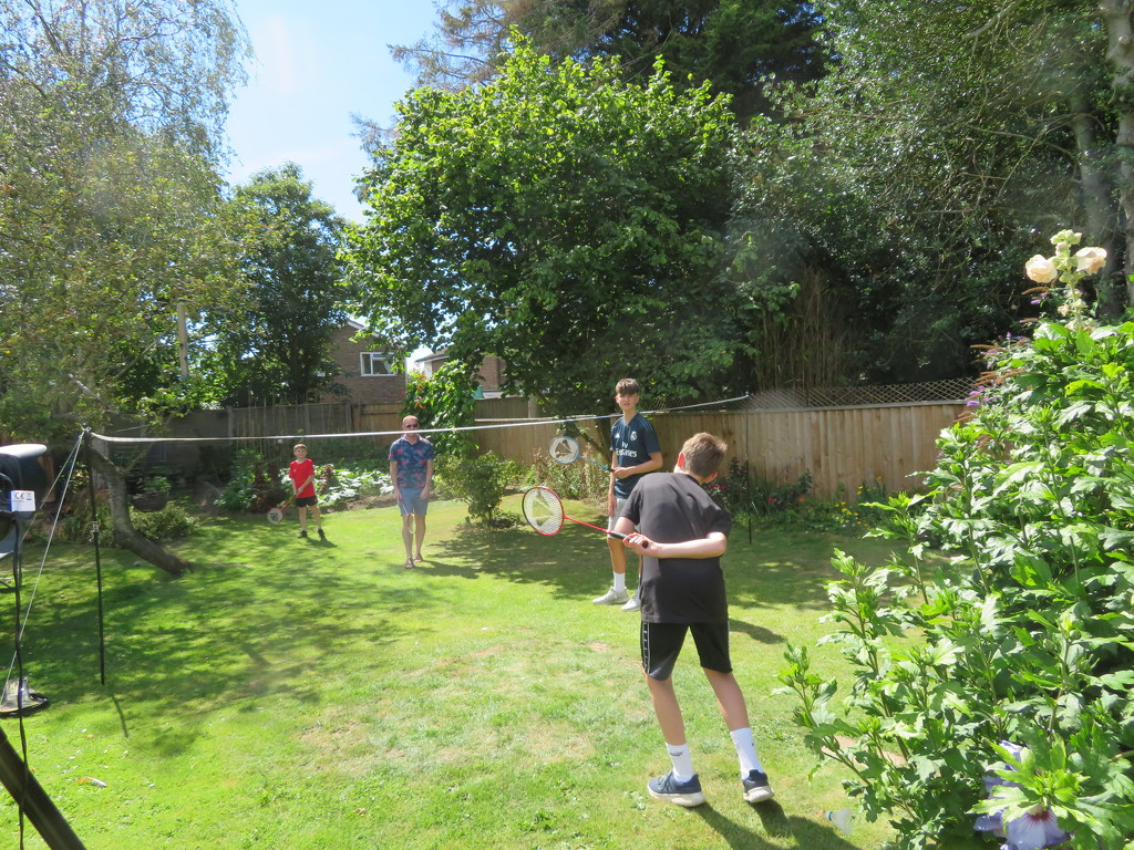 Back garden badminton by lellie