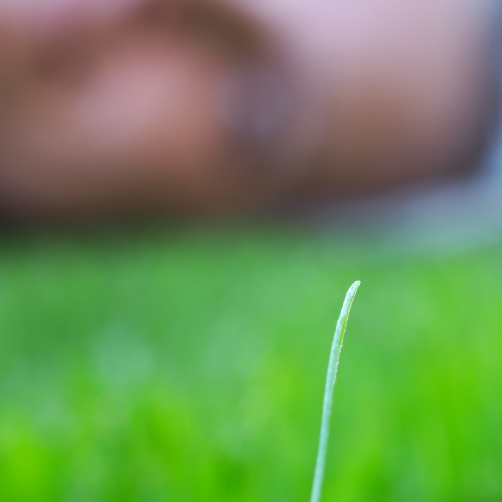 Staring at a blade of grass by monikozi