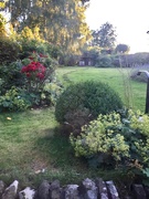 30th Jul 2020 - Just as the sun goes down in the garden 