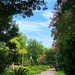 Hampton Park Gardens by congaree