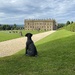 Chatsworth House by tinley23