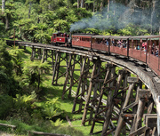 9th Dec 2019 - Puffing Billy 