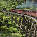 Puffing Billy  by ianjb21