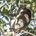 stretch those feet by koalagardens
