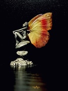 1st Aug 2020 - Curios Cabinet #1-The Butterfly Effect