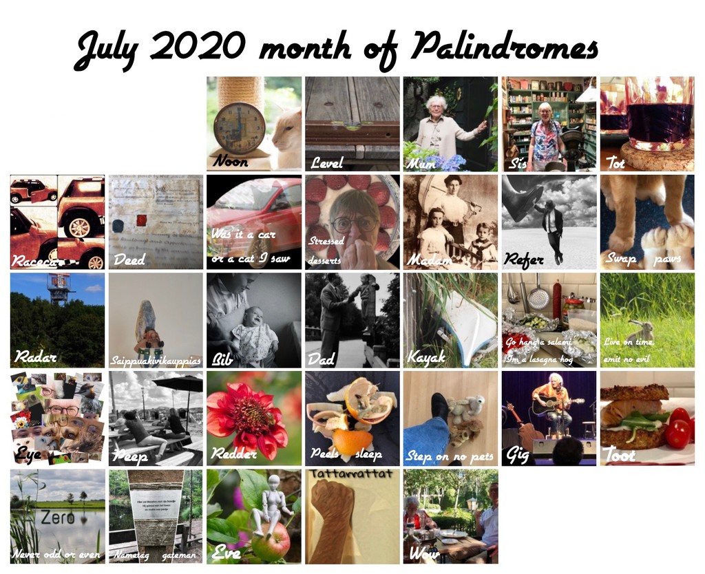 Palindromes  by jacqbb