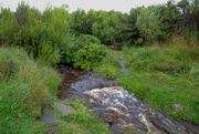 1st Aug 2020 - Stepping Stones