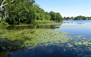 20th Jun 2020 - Hardy Pond — ‘On the Day’ Post #3000