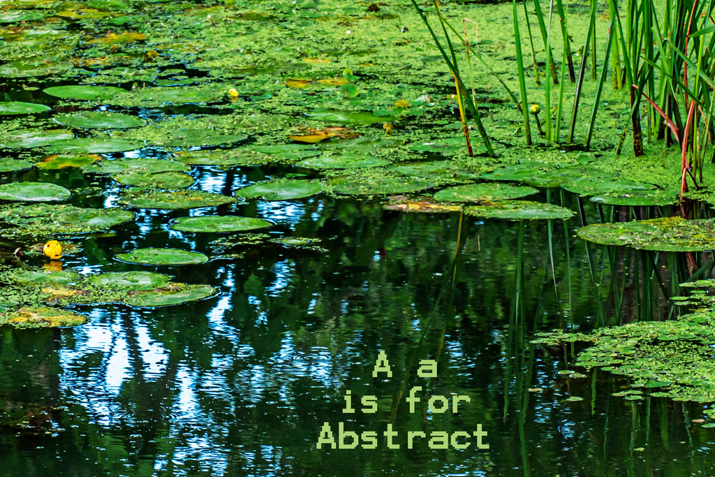 August Alphabet Words - Abstract by farmreporter