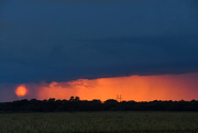 1st Aug 2020 - Rainfall at Sunset