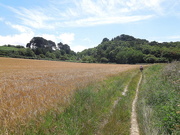 2nd Aug 2020 - Along the GR34 trail : the fields