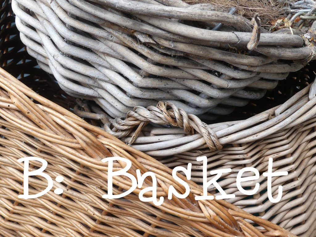 Word of the day: Basket by ideetje