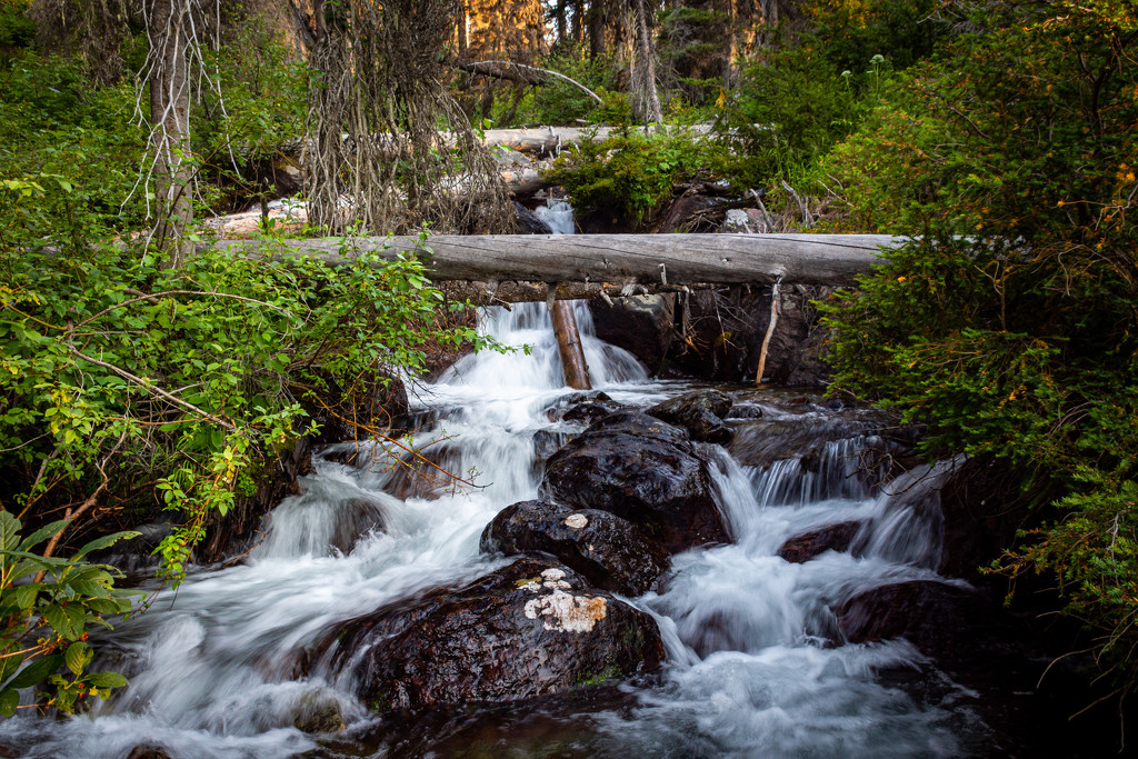 Mountain Creek by 365karly1
