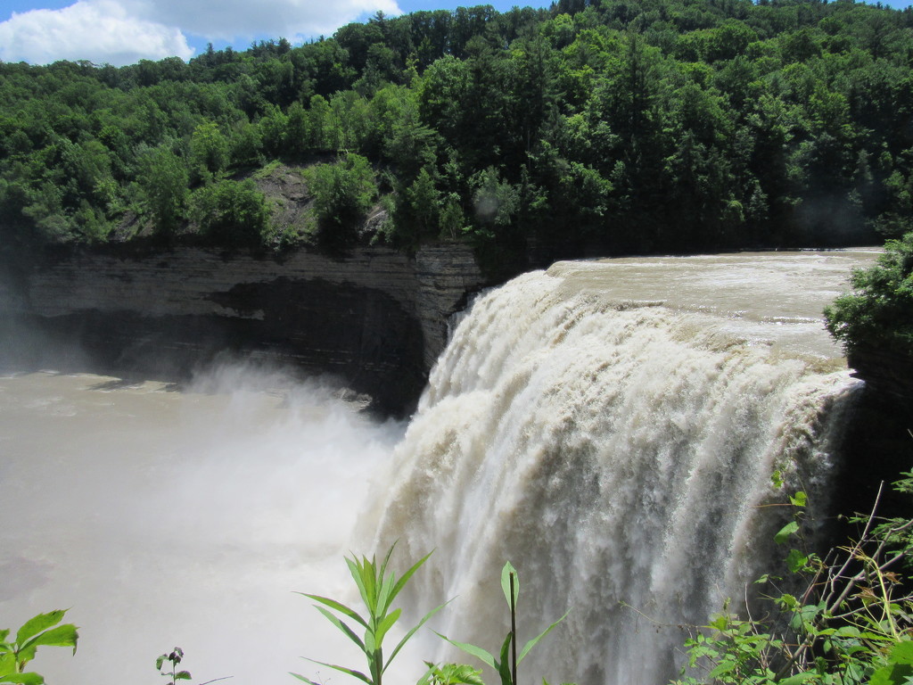 Letchworth State Park by mlwd