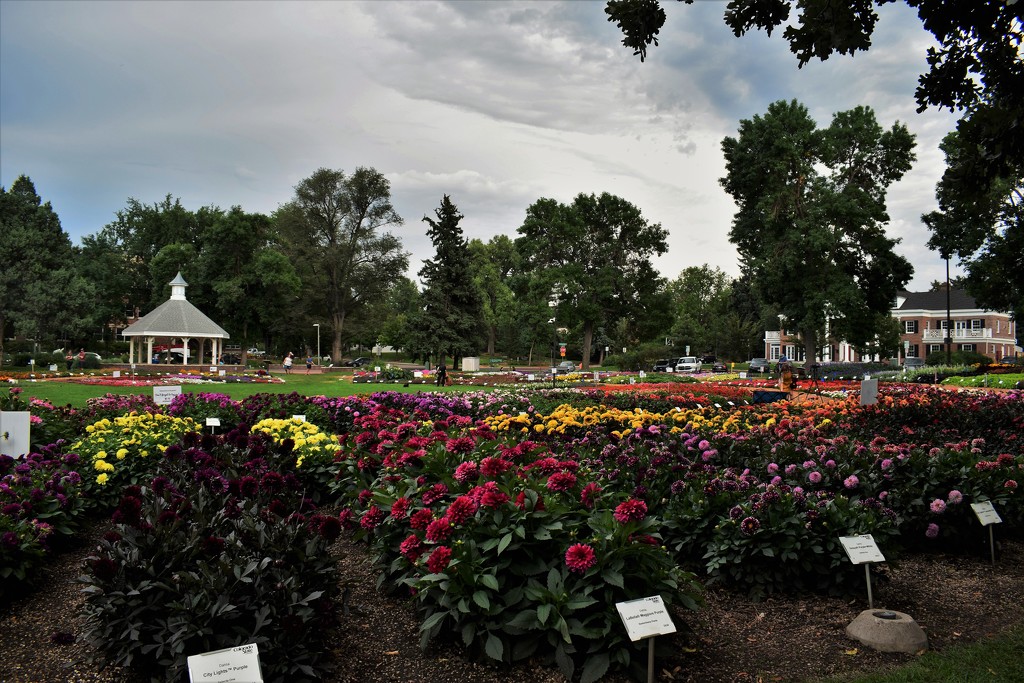 Sunday at the Annual Trial Garden by sandlily