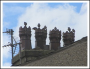 4th Aug 2020 - Starlings on 4 chimney pots.