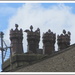 Starlings on 4 chimney pots. by grace55