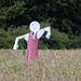 Scarecrow by cmp