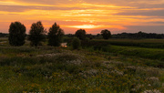 4th Aug 2020 - Sunset over the fields