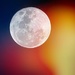 August Full Moon by sandradavies