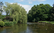 4th Aug 2020 - Messing About On The River