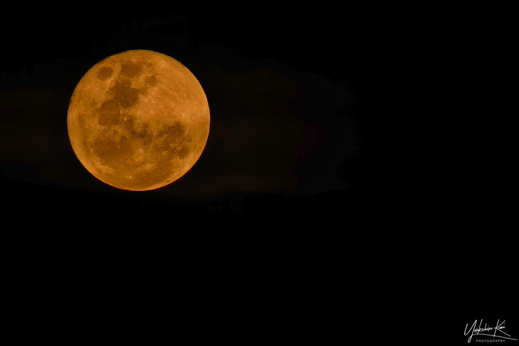 The Orange Moon by yorkshirekiwi