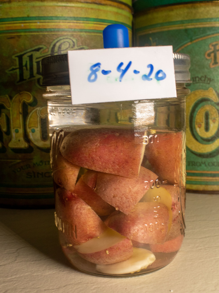 Crispy Fermented Potatoes by tdaug80