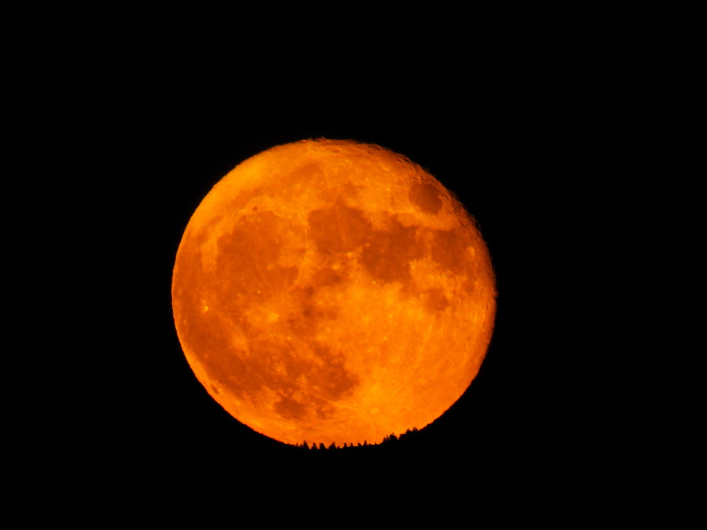 Orange Moon by janeandcharlie