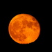 Orange Moon by janeandcharlie