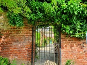 5th Aug 2020 - Walled gardens 