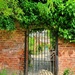 Walled gardens  by isaacsnek