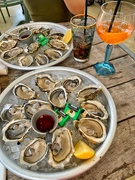 6th Aug 2020 - Oysters. 