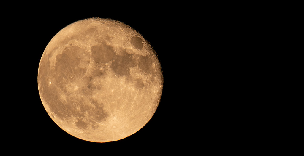 Last Night's Moon! by rickster549