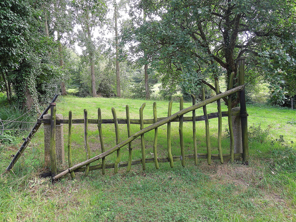 Country walk (3) : a traditional meadow gate by etienne