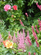 4th Aug 2020 - Astilbe,roses and ?