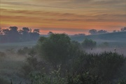 6th Aug 2020 - Misty Country Morning