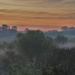 Misty Country Morning by lynnz