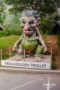 4th Aug 2020 - Troll wall troll