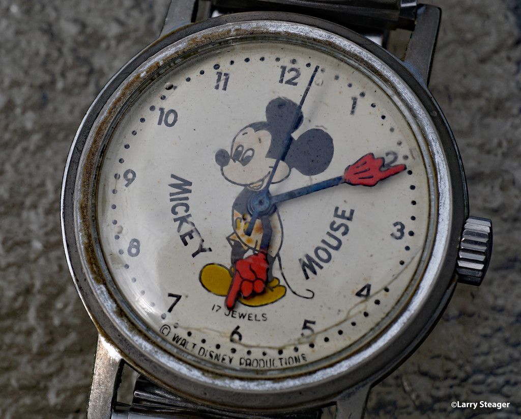 Mickey Mouse by larrysphotos