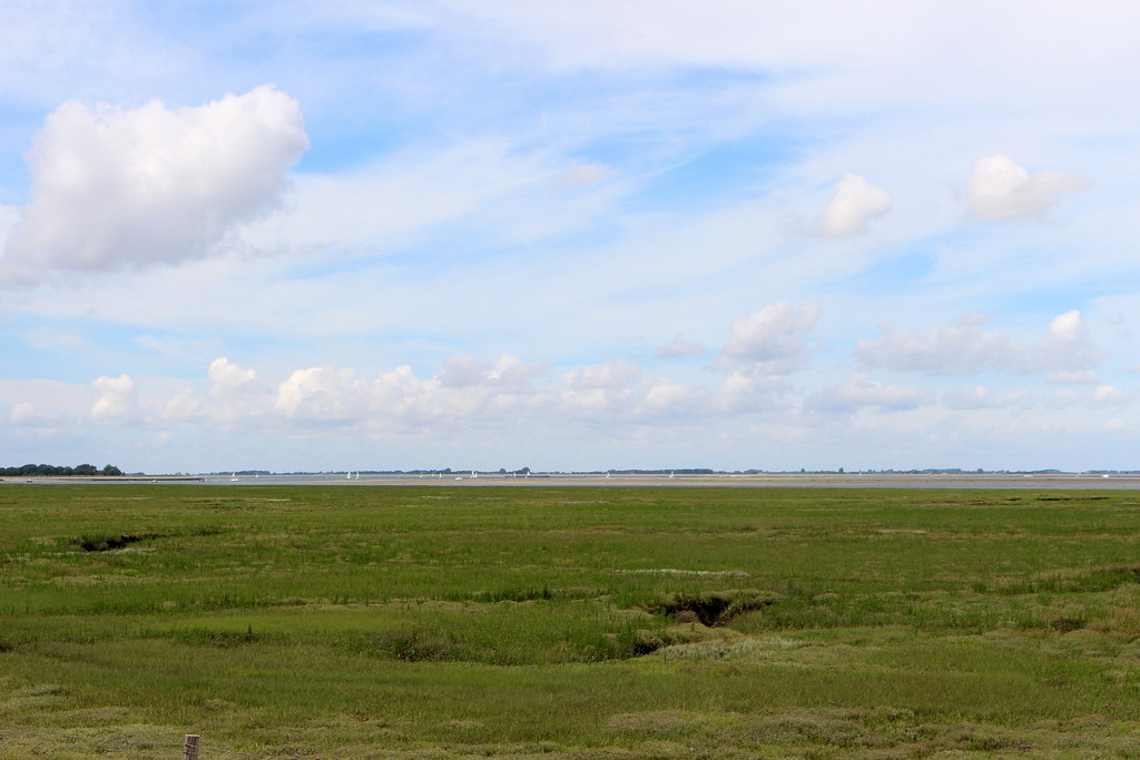 View on and from the schorren of the Eastern Scheldt  by pyrrhula