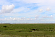 6th Aug 2020 - View on and from the schorren of the Eastern Scheldt 