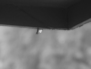 6th Aug 2020 - Raindrops on Porch Roof