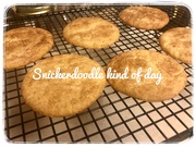6th Aug 2020 - Snickerdoodle kind of day
