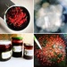 Garden jelly by mastermek