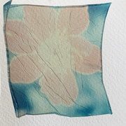 7th Aug 2020 - First attempt at a Polaroid emulsion lift