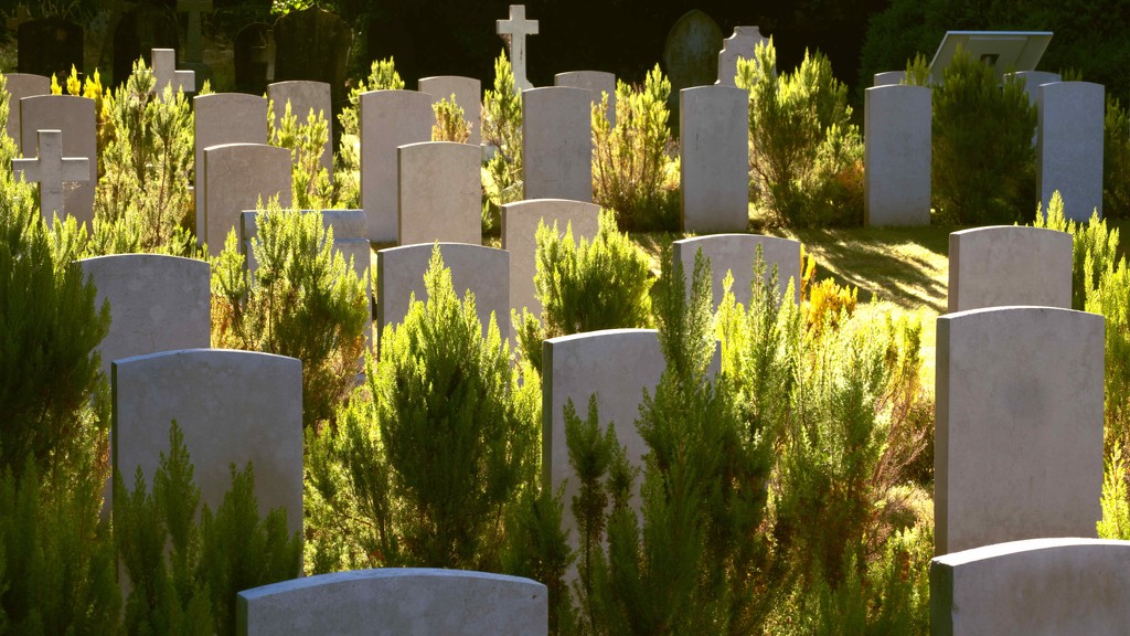 War graves Spanish flu by moonbi